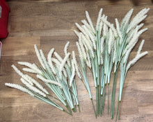 Load image into Gallery viewer, SLONAC-E Short-Stem Wheat Grass