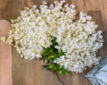 Load image into Gallery viewer, SHIM100-H 13 Ivory Wisteria Stems