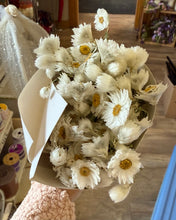 Load image into Gallery viewer, JUBAS-I Dried Chamomile/Daisy Flowers