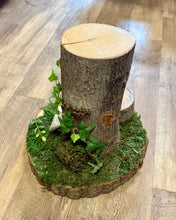 Load image into Gallery viewer, SZEK-B Wood Slab/Trunk, Moss Centerpiece