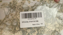 Load image into Gallery viewer, ALTS-N Dried Baby Breath