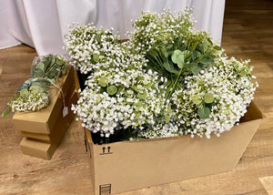 BRAN100-K Baby Breath Bunch