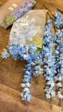 Load image into Gallery viewer, KISS-C Blue, Long-Stem Delphinium