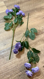 PLOW100-C Mini Lavender Roses