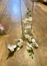 Load image into Gallery viewer, PHIL100-B 24 Orchard Stems