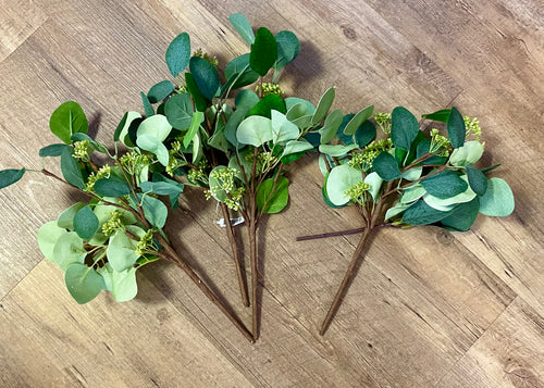SHIM100-C 4 Eucalyptus Picks