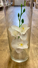 Load image into Gallery viewer, PHIL100-B 24 Orchard Stems