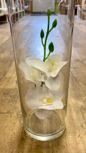 PHIL100-B 24 Orchard Stems