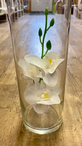 PHIL100-B 24 Orchard Stems