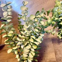 Load image into Gallery viewer, SHIM100-F Set of 3 Foam, Eucalyptus Stems