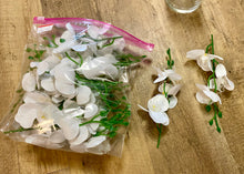 Load image into Gallery viewer, PHIL100-B 24 Orchard Stems