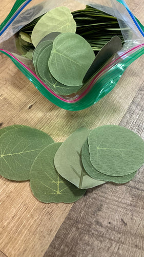 CASS100-R Loose Eucalyptus Leaves