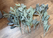 Load image into Gallery viewer, REES100-AX Lambs-Ear Greenery Picks