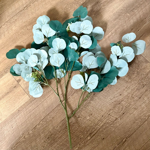 REES100-CI Eucalyptus Pick