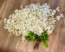Load image into Gallery viewer, SHIM100-H 13 Ivory Wisteria Stems