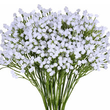 Load image into Gallery viewer, BRAN100-K Baby Breath Bunch