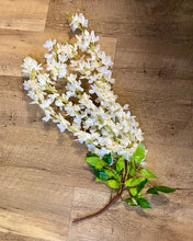 Load image into Gallery viewer, SHIM100-H 13 Ivory Wisteria Stems