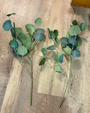 Load image into Gallery viewer, ILLI100-A Eucalyptus Bunch