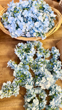 Load image into Gallery viewer, KISS-B 99 Blue Hydrangeas