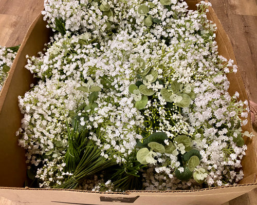 BRAN100-K Baby Breath Bunch. NEW