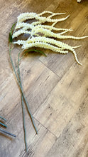 Load image into Gallery viewer, LYNN100-CC Ivory Hanging Amaranthus