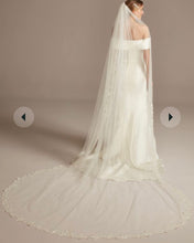 Load image into Gallery viewer, JASP100-G Ivory Floral Cathedral Veil