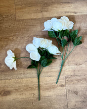 Load image into Gallery viewer, PACIFICO-H Short-Stem White Roses