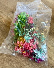 Load image into Gallery viewer, MCCU100-W Colorful, Dried Flowers
