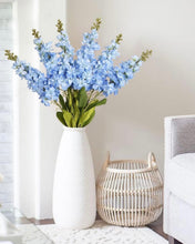 Load image into Gallery viewer, KISS-C Blue, Long-Stem Delphinium