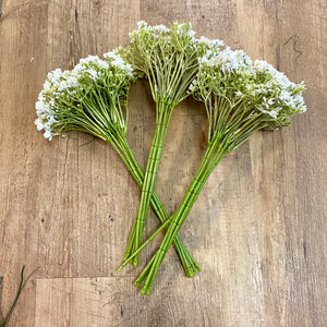 LIVI100-P Gypsophila- White Floral Filler