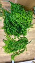 Load image into Gallery viewer, SHIM100-I Bulk Greenery