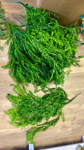 SHIM100-I Bulk Greenery