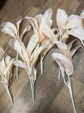 Load image into Gallery viewer, SLONAC-G Blush Pink Lambs-Ear