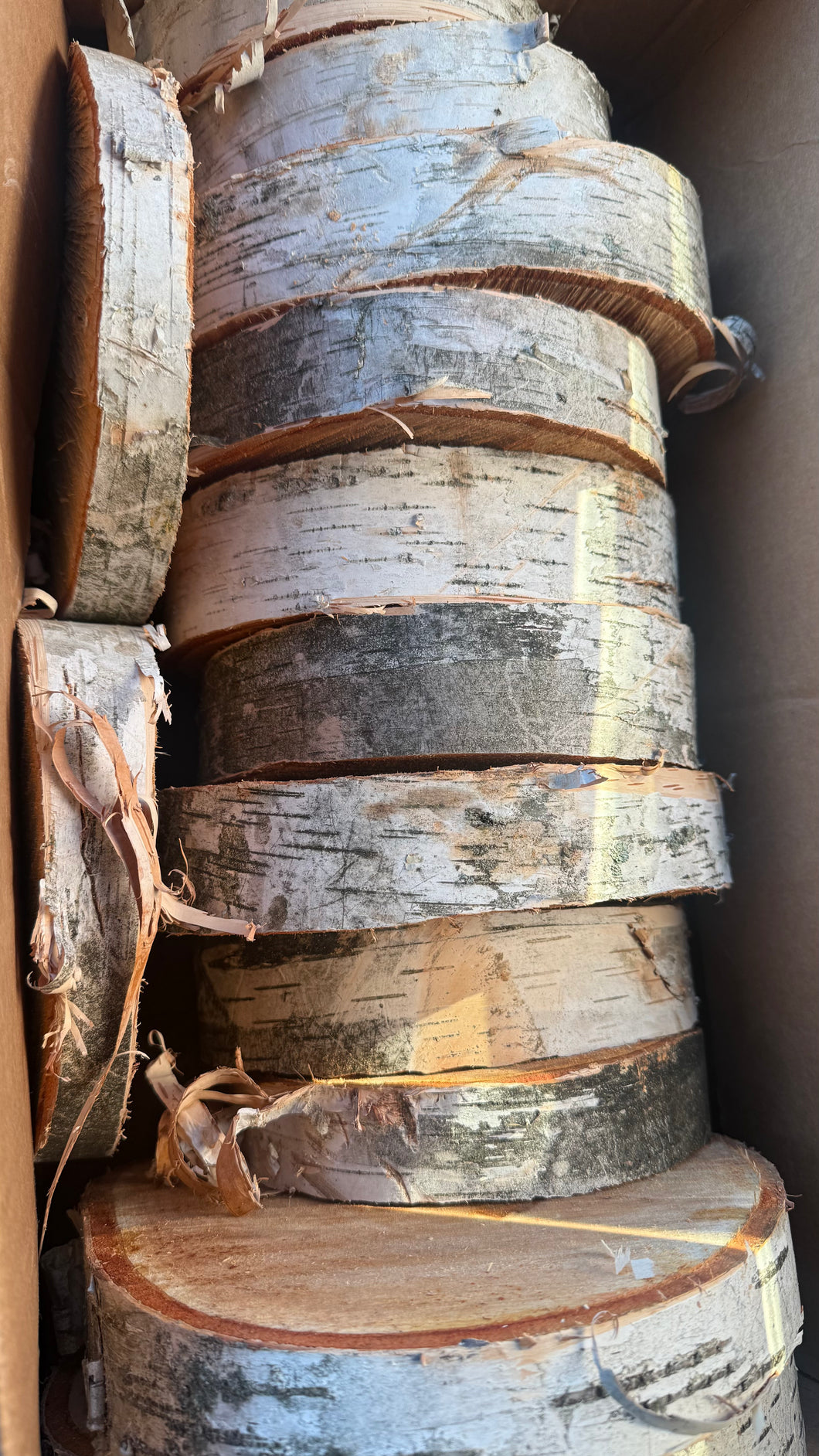 Fresh Cut Wood Slab- White Birch