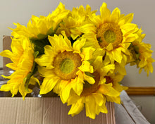Load image into Gallery viewer, DUNC100-C Loose Yellow Sunflower Bundle