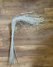 Load image into Gallery viewer, PACIFICO-D Cascading, Pearl Spray Filler