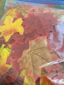 MEYE100-G Fall Leaves