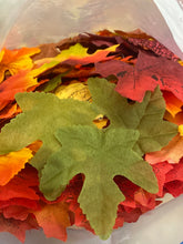 Load image into Gallery viewer, MEYE100-G Fall Leaves