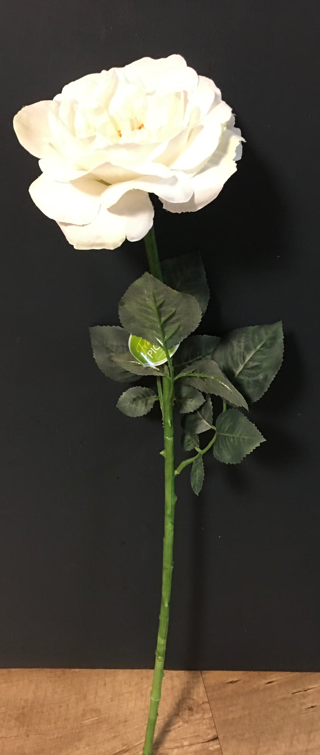 ZARA100-AZ  Long Stemmed White Rose