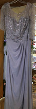 Load image into Gallery viewer, GEOR200-N. Christina Wu Cameo Rose Gown, Size  18