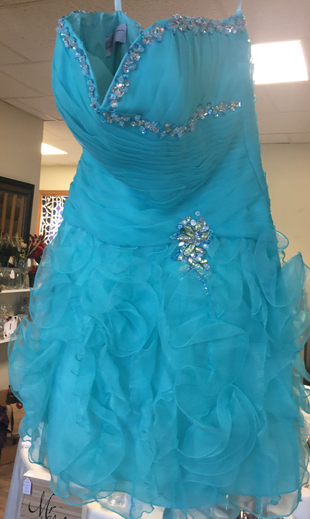 THRO100-E  Mari Lee Light Teal Gown, Size Small