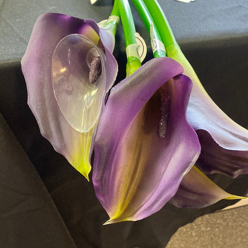 K&K-DD Purple Calla Lilly
