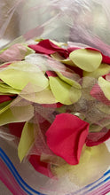 Load image into Gallery viewer, STIG100-AB Green &amp; Pink Petals