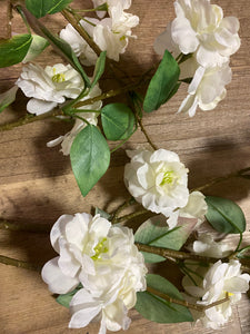 SMEG100-C White Cherry Blossom