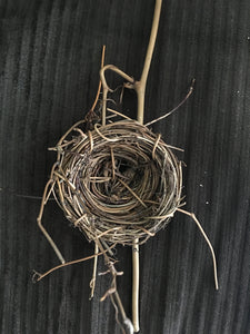 MCCO100-Z  Bird Nests