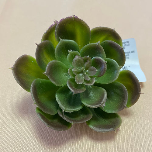 ALEX100-K Succulent Clip