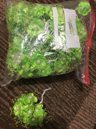 ABCD100-DA  Lime Green Flower Picks