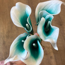 Load image into Gallery viewer, MORE100-BC. Set of 5, 14” Teal Calla Lilly