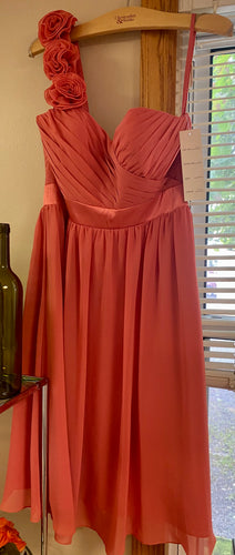 GOWN100-AI NWT Burnt Orange Dress. Size 10
