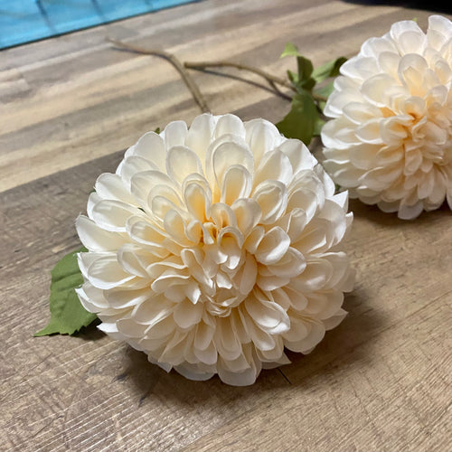 RING200-AK Creamy Ivory Dahlias